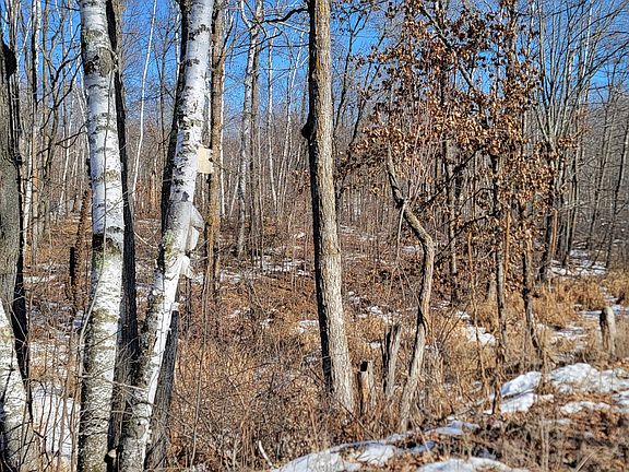 3rd image of Meadow Lake Rd