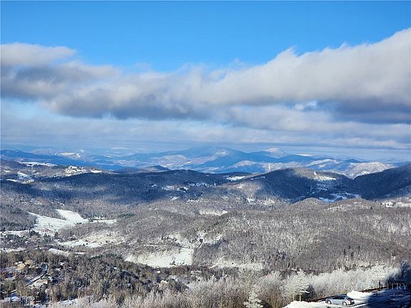 5th image of 303 Sugar Top Drive #2011