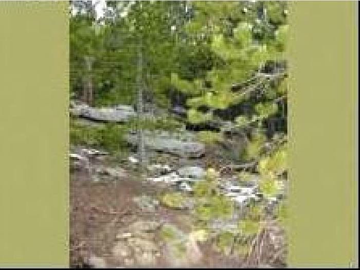 2nd image of 11541 Shimley Rd