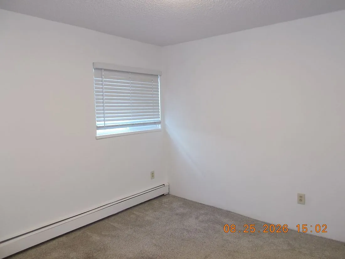 2 bed, 900 sqft, $1,650 — Photo 2