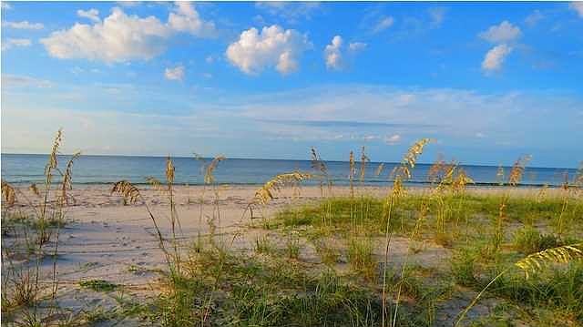 1st image of 634 Gulf Shore Dr