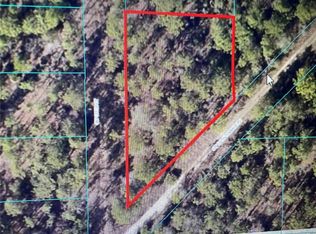 SW 156th Terrace Rd LOT 31, Ocala, FL 34481