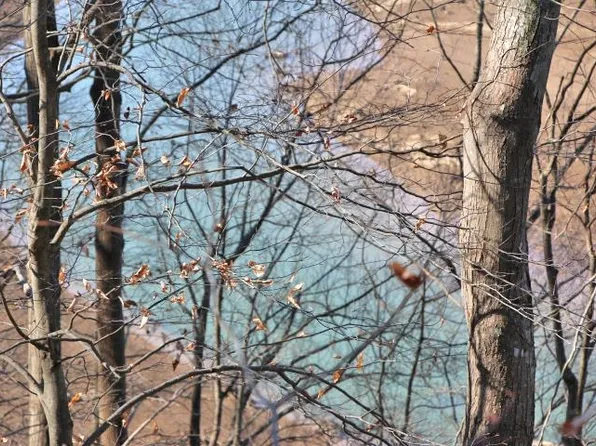 LOT-41R Runaway Dr, Fountain Run, KY 42133