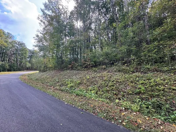 174 Trailwood Dr, Ellijay, GA 30536