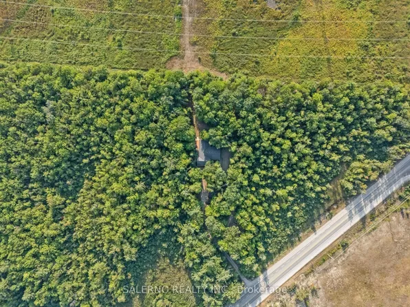 3992 Penetanguishene Rd, Springwater, ON L0L 1V0