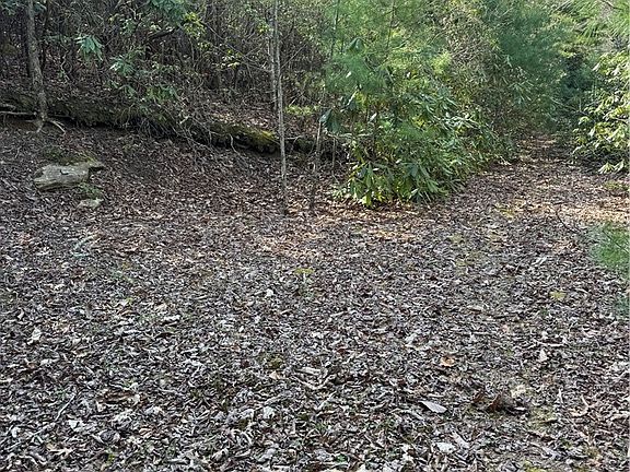 5th image of 7797 Huskins Drive #Tract 4