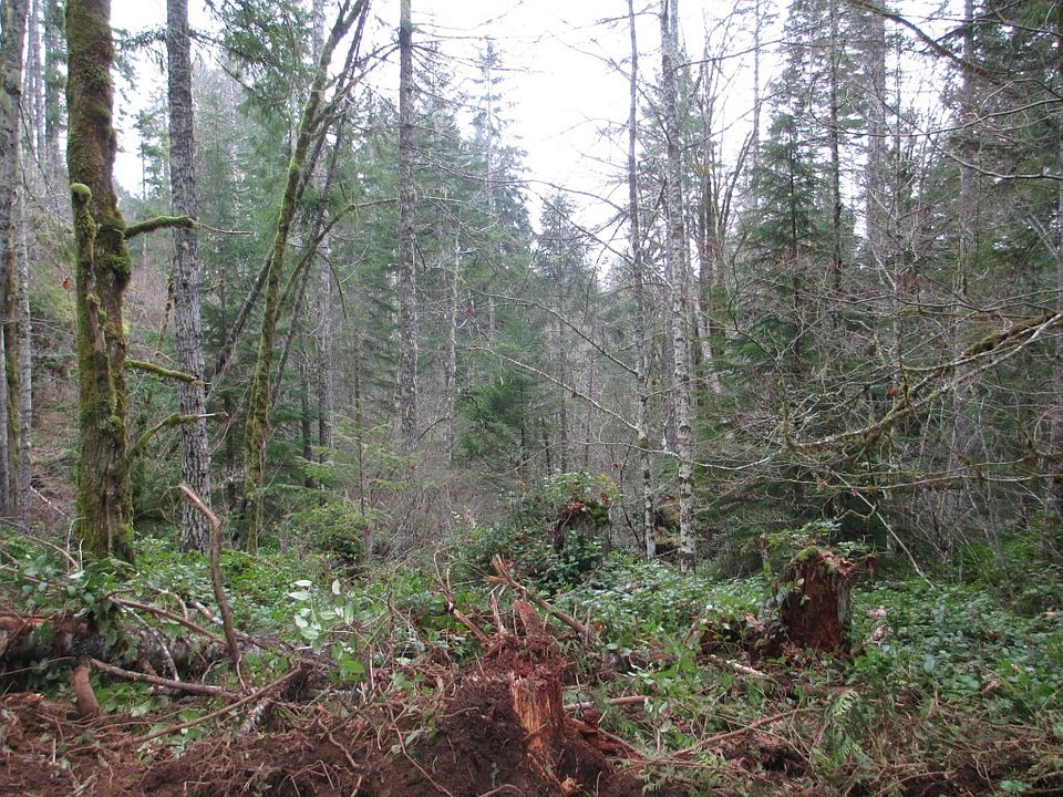 1st image of 10 N Mount Rose Ave