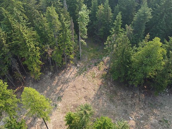 4th image of Nna Brown Bear Dr