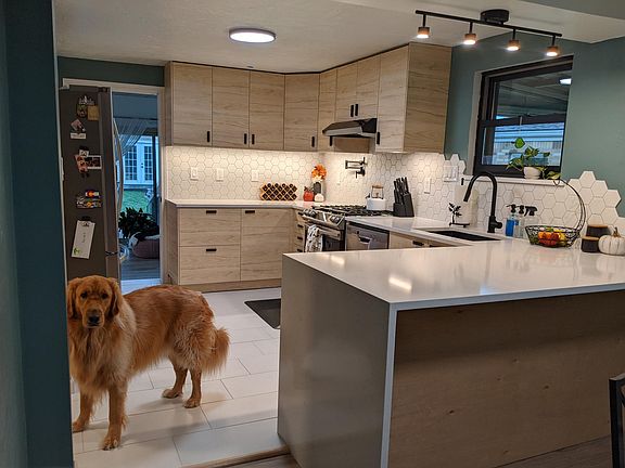 newly remodeled kitchen! (dog not included)