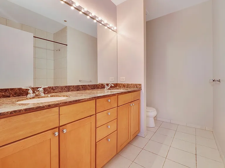 720 N Larrabee St #1706 — Photo 12
