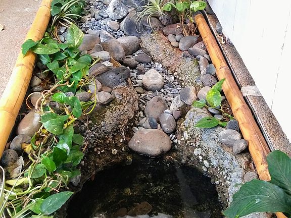 Front Water Feature/Pond