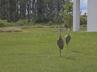 32604 Turtle Grace Loop, Wesley Chapel, FL 33545