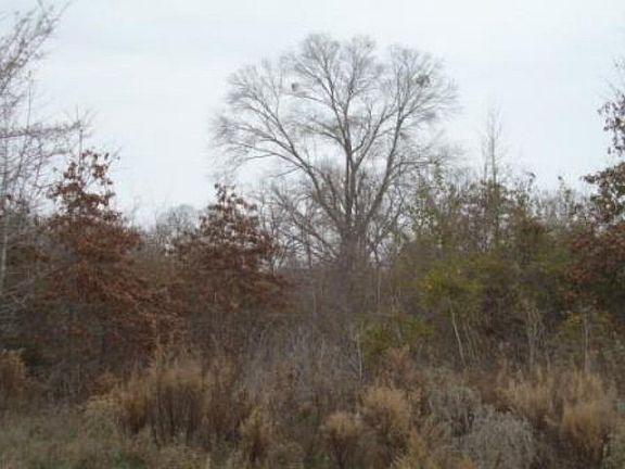 5th image of 11130 Cr 4515