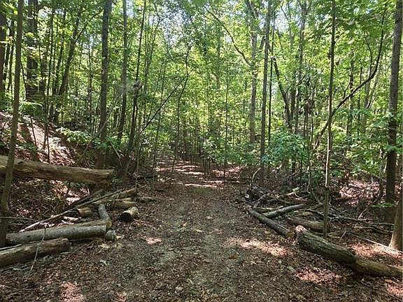 4th image of 0 Browntown Rd Lot 134