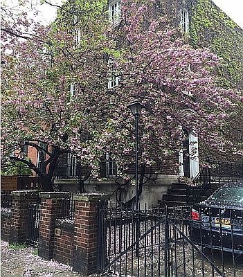 1st image of 431 Washington Ave #1R