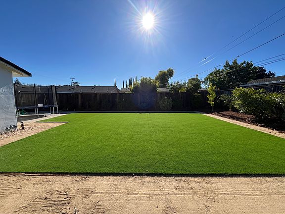 Backyard turf looking East.