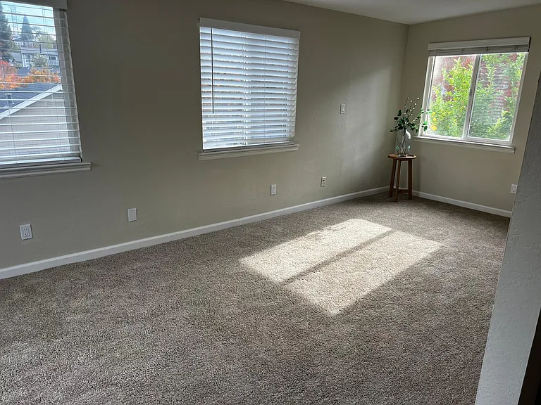 173 Fig Tree Ln — Photo 10