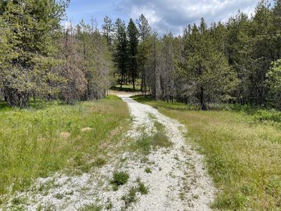 4150 Norris Rd, Springdale, WA, 99173