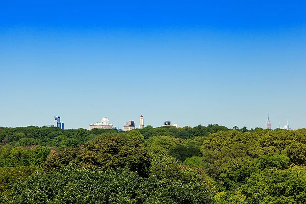 Rented by Manhattan Realty Group | media 36