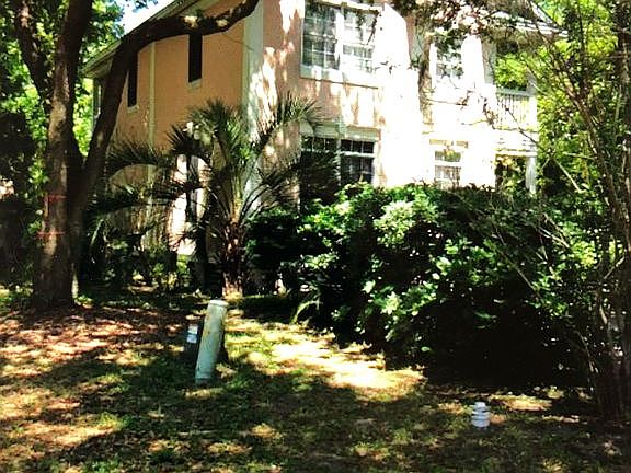 Nice yard