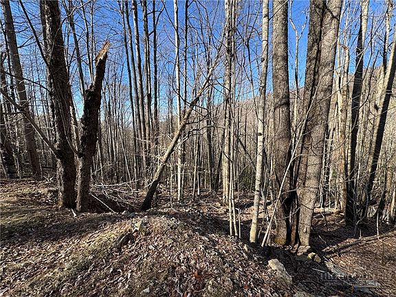 4th image of Lot 3 Buckeye Ridge Road