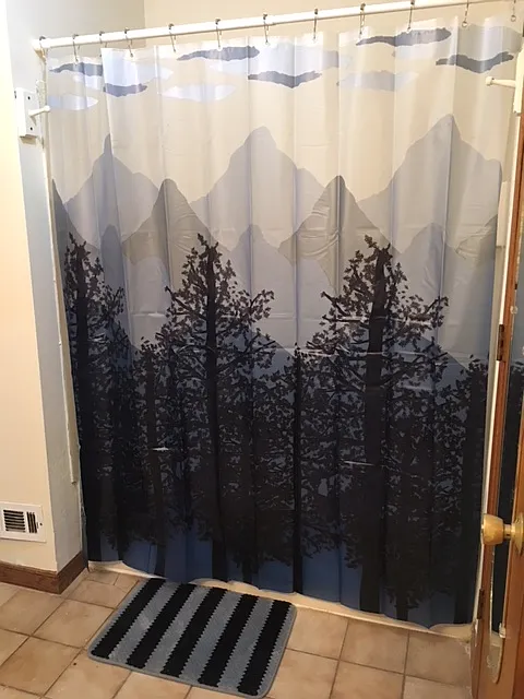 2 bed, 1000 sqft, $1,500 — Photo 4