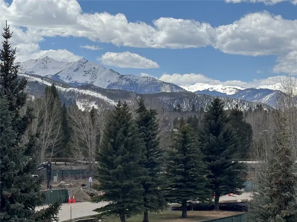 165 Argentine Ct #1409, Montezuma, CO 80435