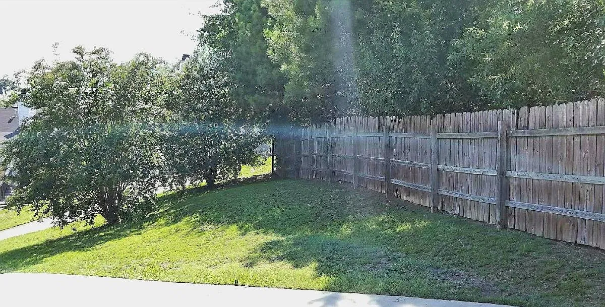 2 bed, 1297 sqft, $1,150 — Photo 4