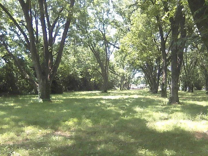 Studio, 225 sqft, $700 — Photo 3