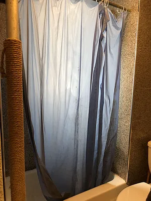 Rented by Better Living Properties | media 8