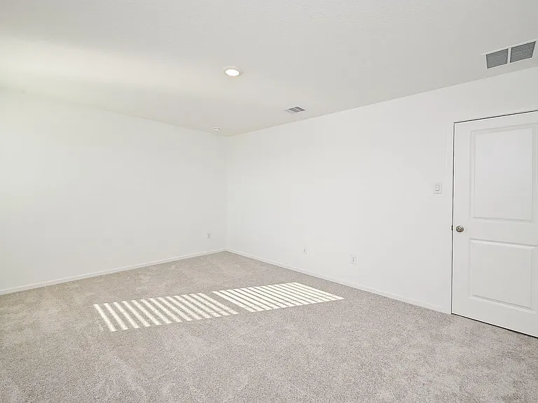 6818 Flowering Ginger Ln — Photo 42