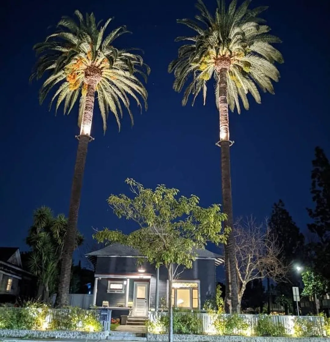 4 bed, 1500 sqft, $4,750 — Photo 3