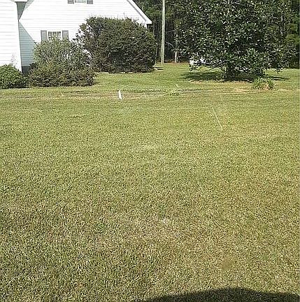 2 Car Garage//FROG//Apartmen