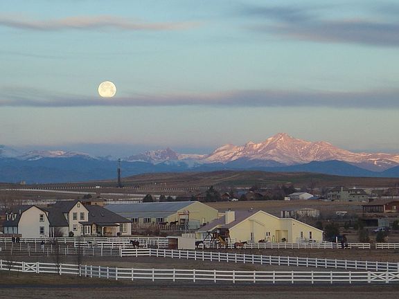 View from the Dining Room