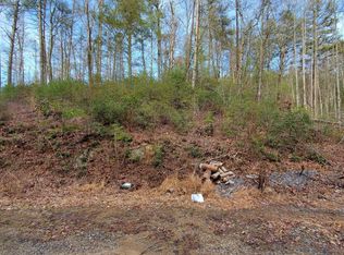 3 Coy Rhea Way LOT 3, Sevierville, TN 37876