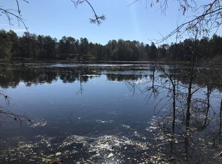 4889 Elmer Lake Trl, Lewiston, MI 49756