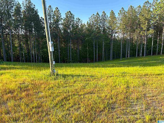 3rd image of 0 County Road 367 #37