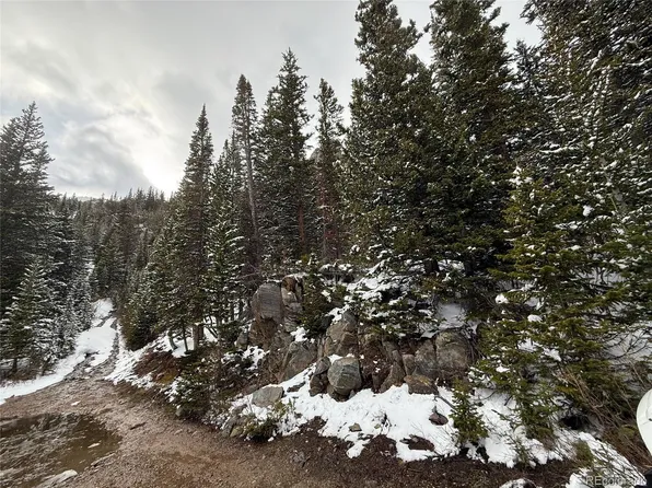 14 Mine Road, Idaho Springs, CO 80452