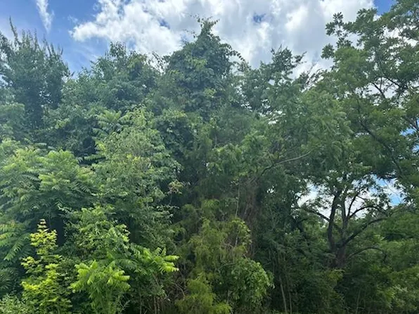 TRACT 1874 Thayer Rd #B, Trinity, NC 27370