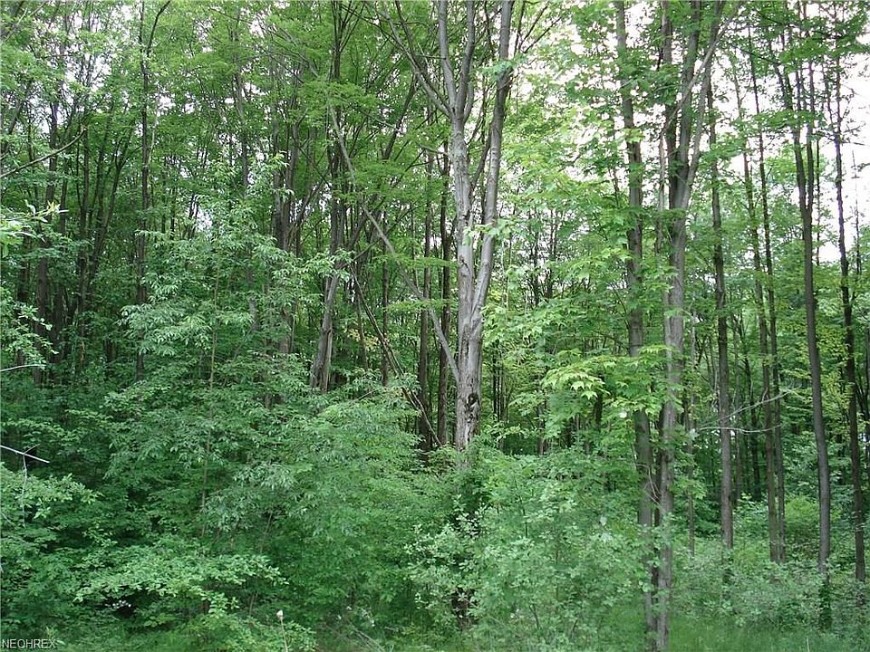 2nd image of 554 Penny Ln