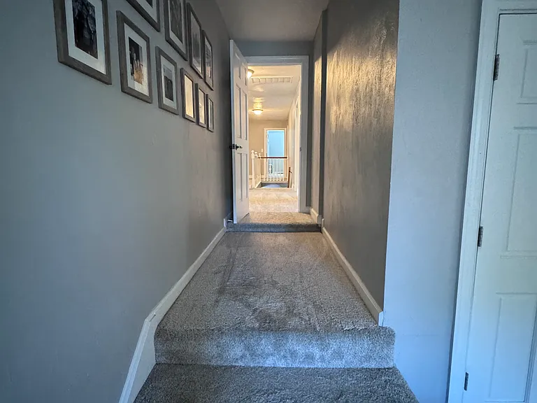 1436 Sir Richard Rd — Photo 40