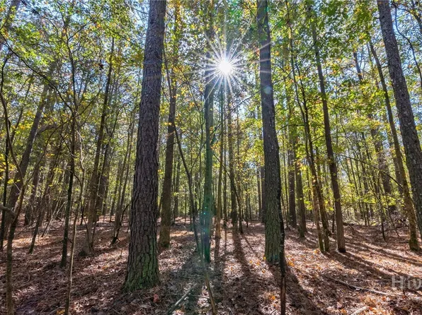 0 Wilson Lane, Arnoldsville, GA 30619