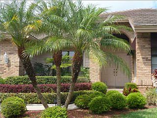 4th image of 129 Woodcreek Dr E