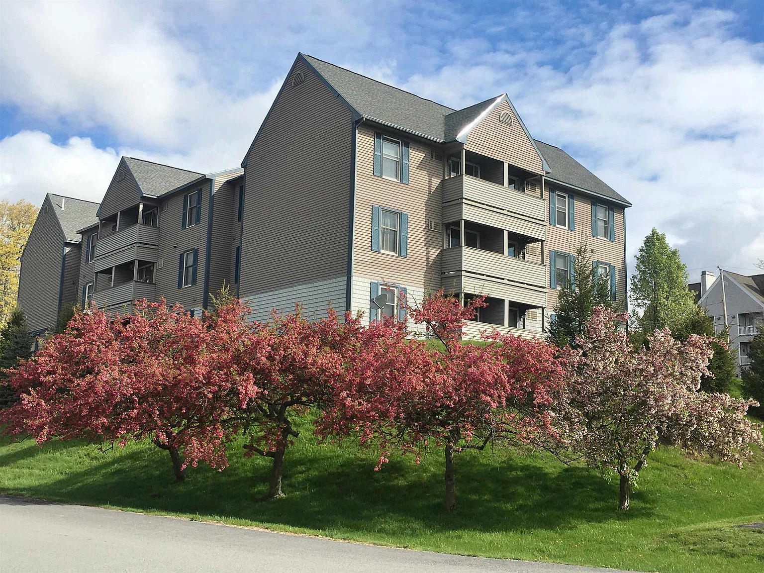 2 bed, 1.0 bath, 733 sqft, $1,905 — Photo 4