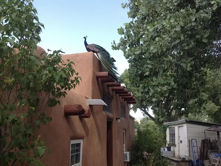 41 Summer Rd — Photo 12