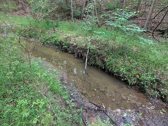 2nd image of 2773 River Rd