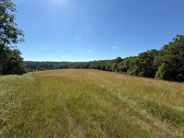 Frosty Ln, Fancy Gap, VA 24328