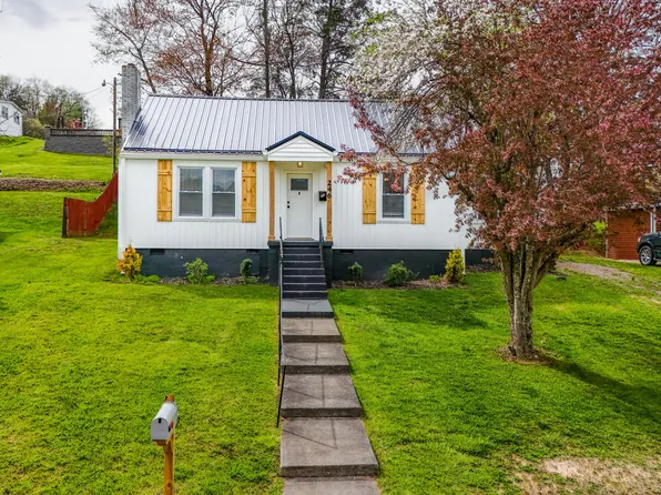 246 Shoun St, Mountain City, TN 37683