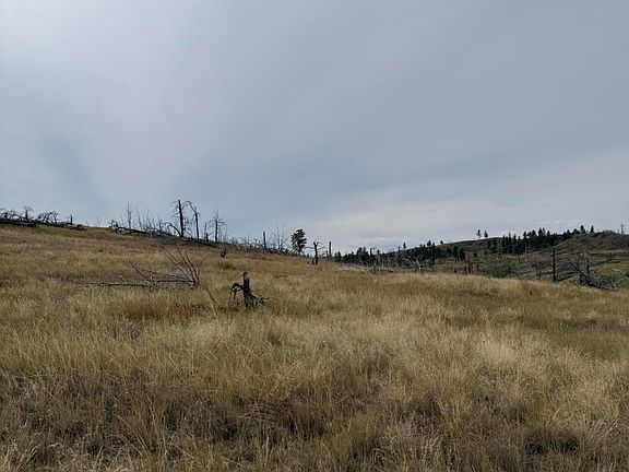 3rd image of Old Stage Rd
