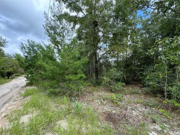 125 SUSAN ROAD, HAWTHORNE, FL 32640